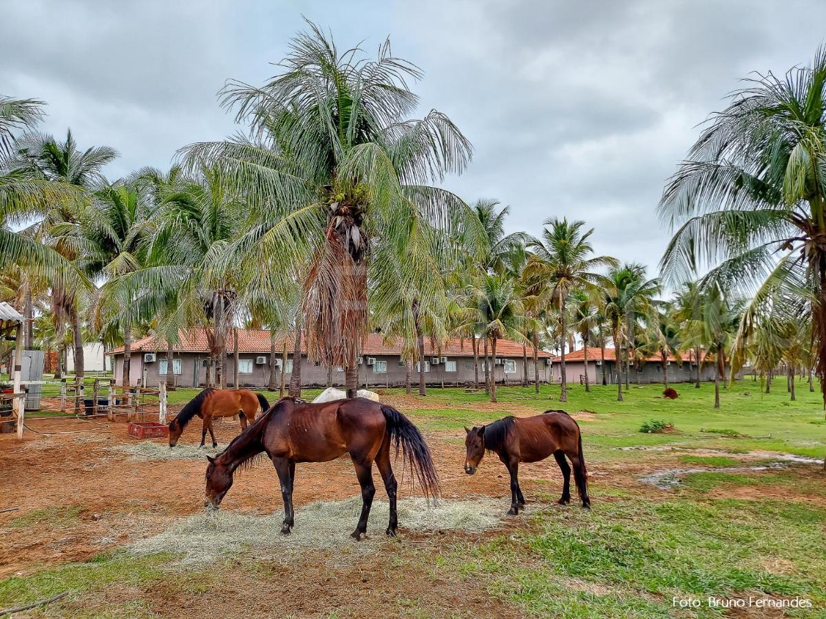 Campo Belo Resort Presidente Prudente Exterior foto